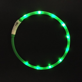 Silikone hundehalsbånd med lys - Genopladelig - Grønt lys